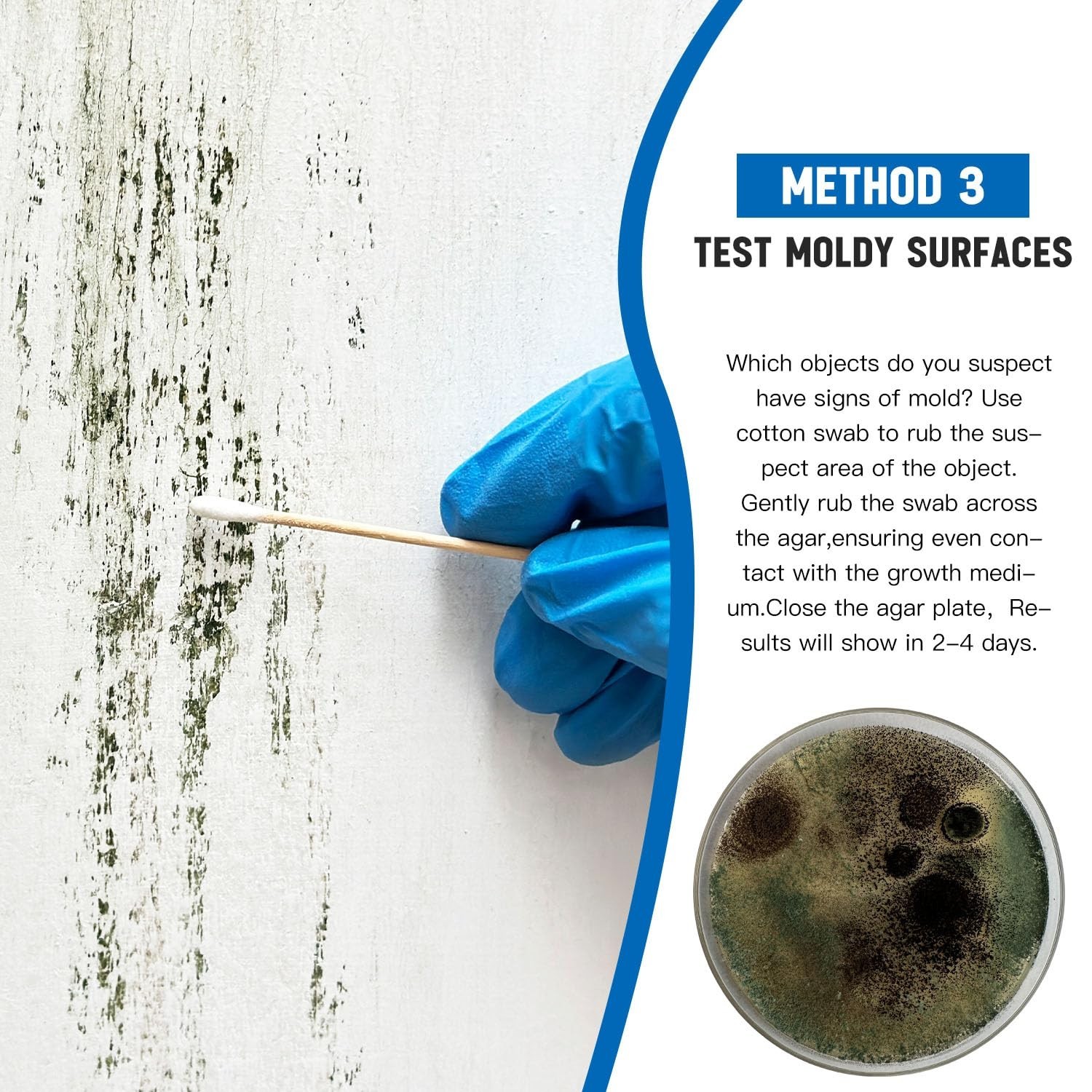 Home Mold Kit - 6 Tests, Black Mold Detector, Free Lab Analysis