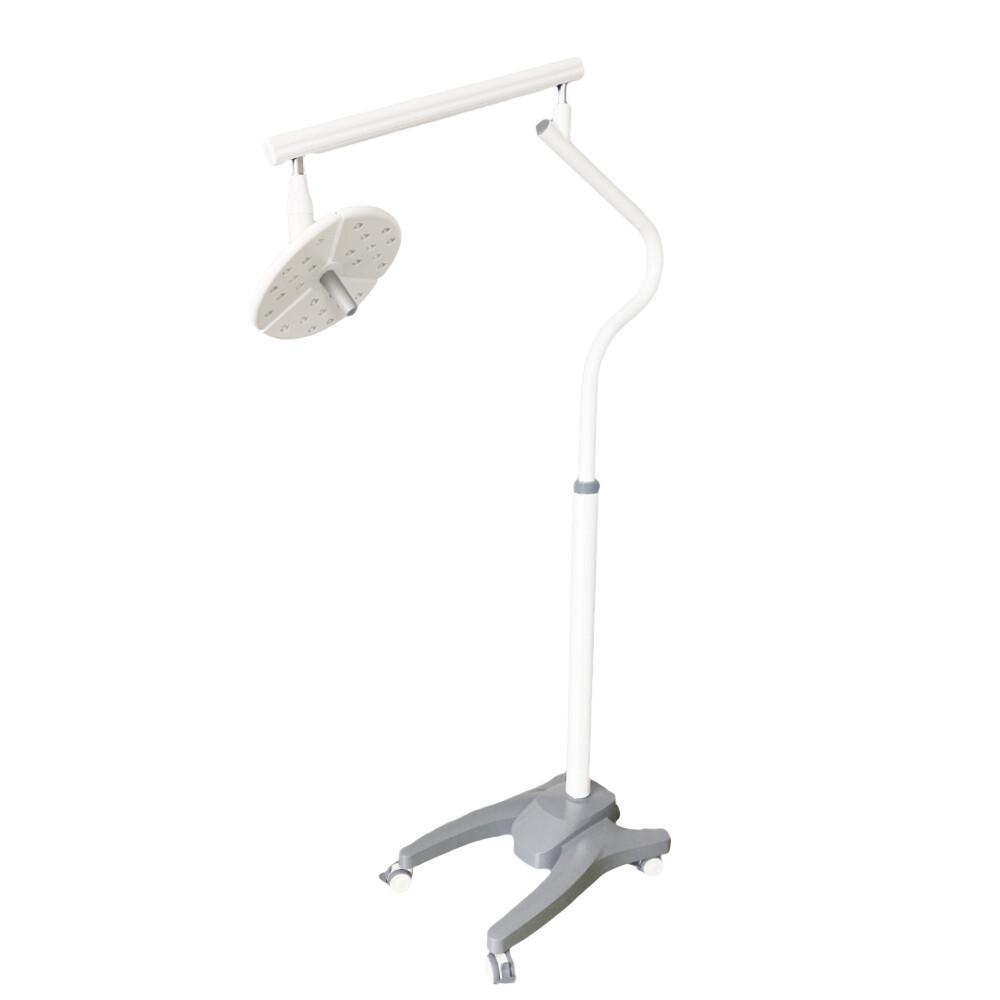 Dental 27 Holes Exam Cold Light 36W Shadowless Exam Lamp Floor Stand Type