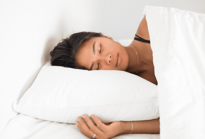 Pillowtex White Duck Down Pillow - Customer Return Clearance
