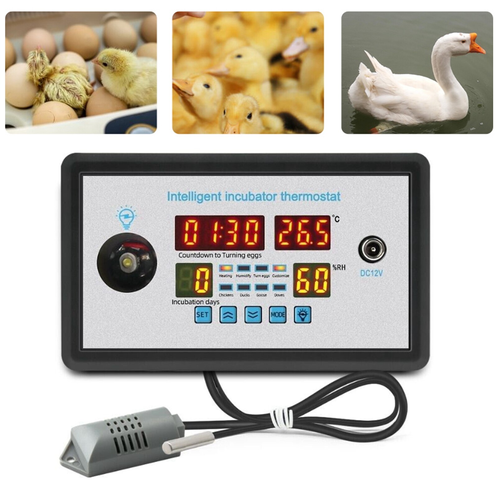 Thermostat Digital Temperature Humidity Automatic Egg Turning Control Incubator