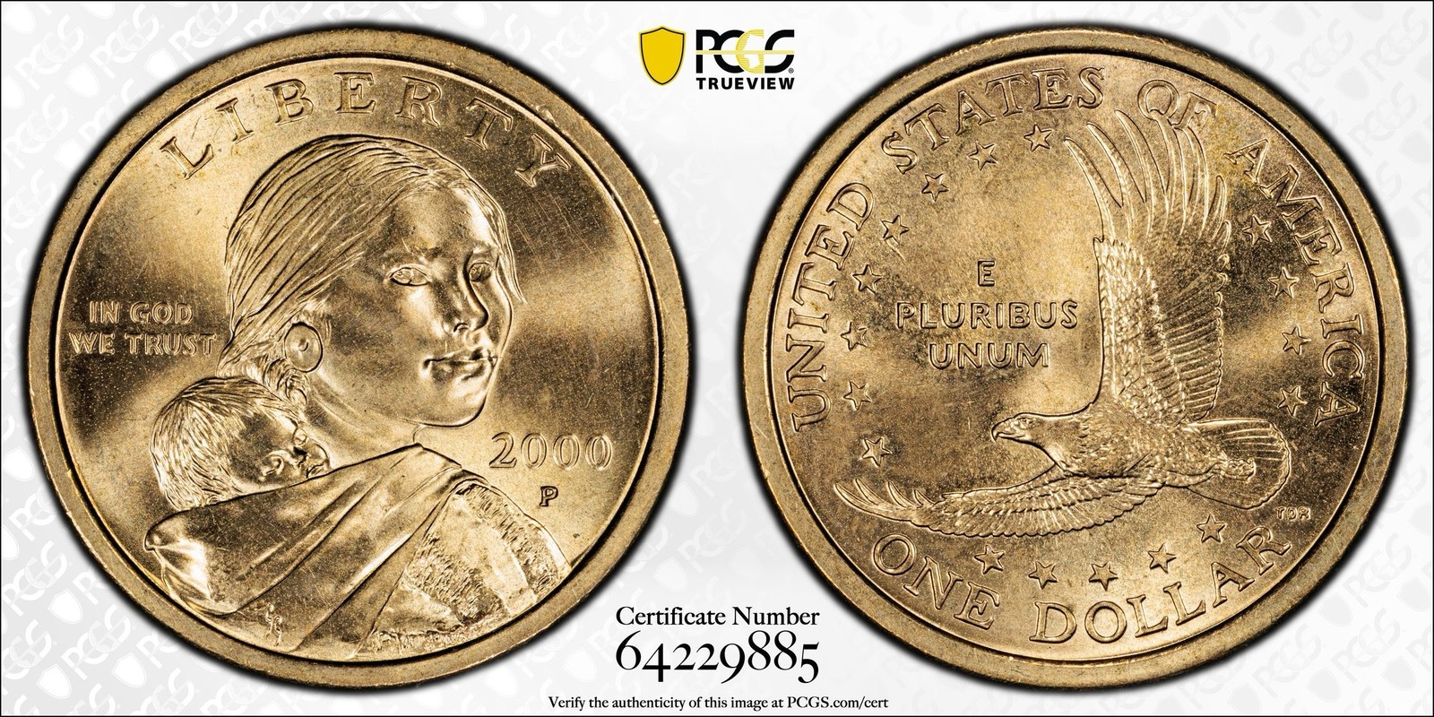 2000 P WOUNDED EAGLE Sacagawea Dollar $1 PCGS MS 63