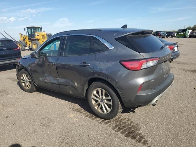 Ford Escape Contact Sensor 2022 2023 2024