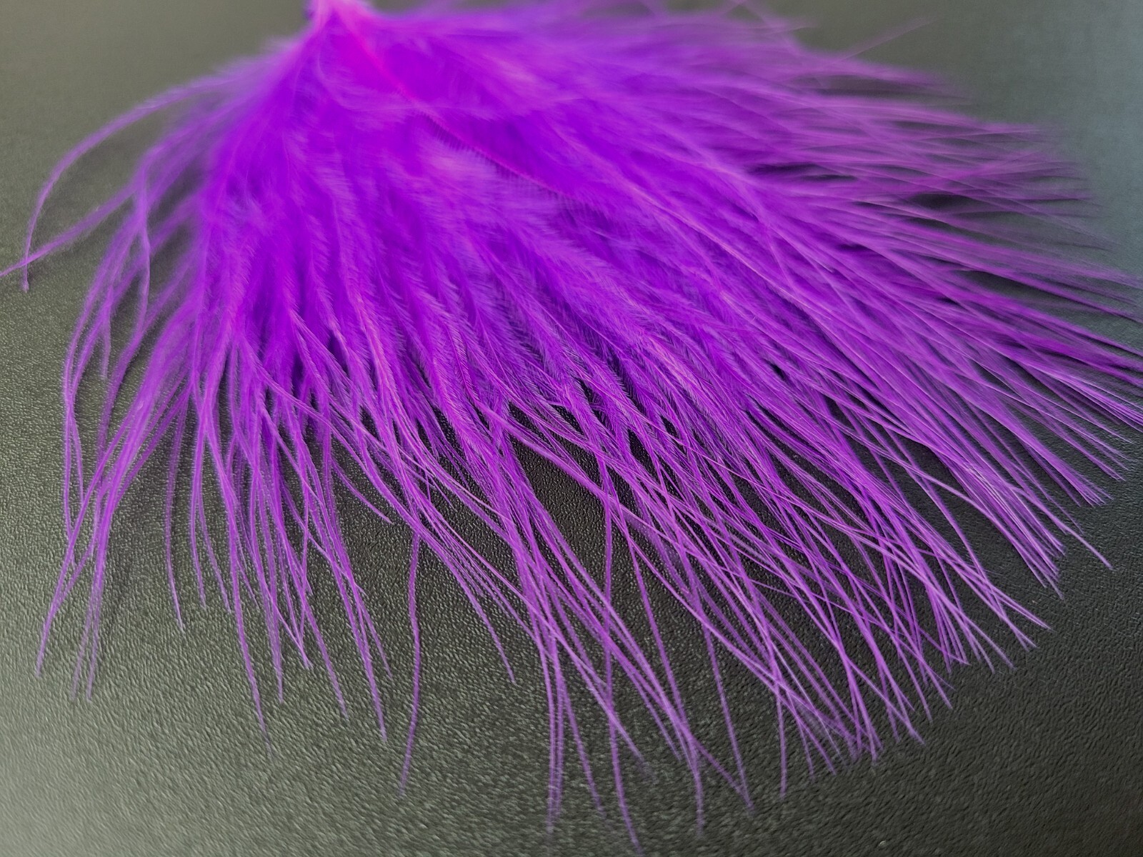 Marabou BLOOD QUILLS - Fly Tying Feathers - PURPLE - Woolly Bugger - 12 pc.