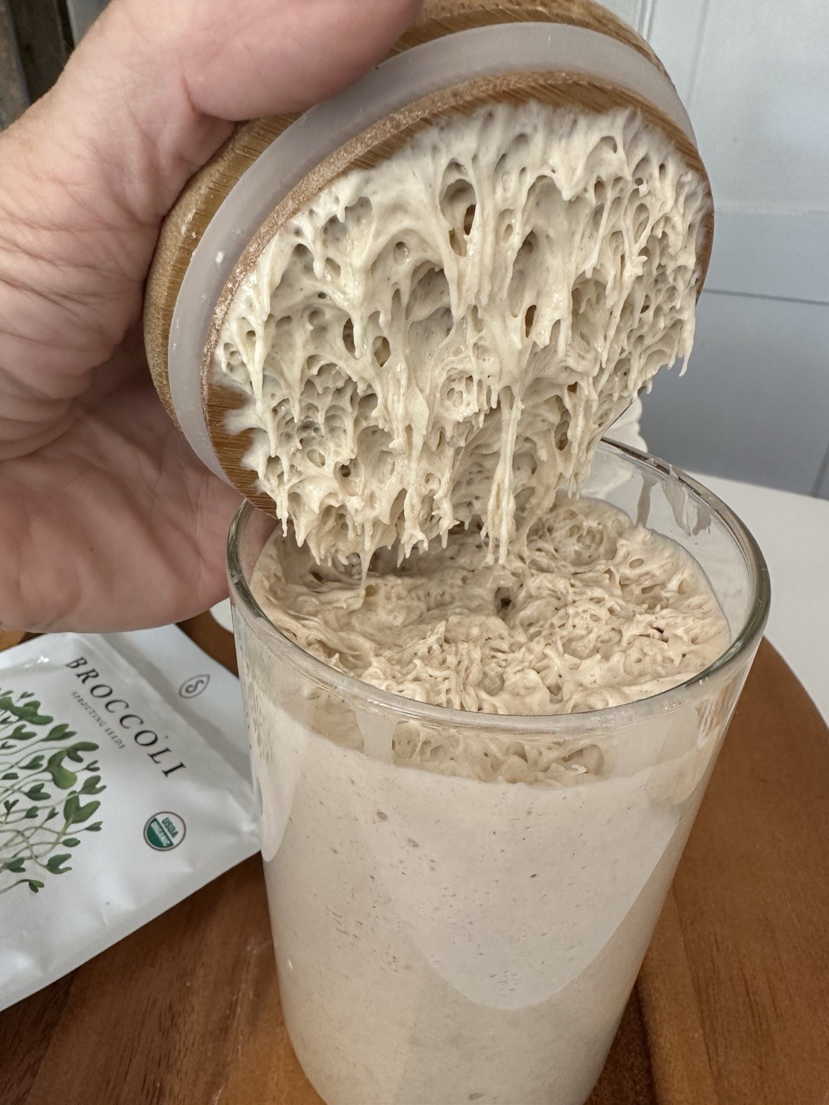 Sourdough Starter 20grams Dehydrated Strong