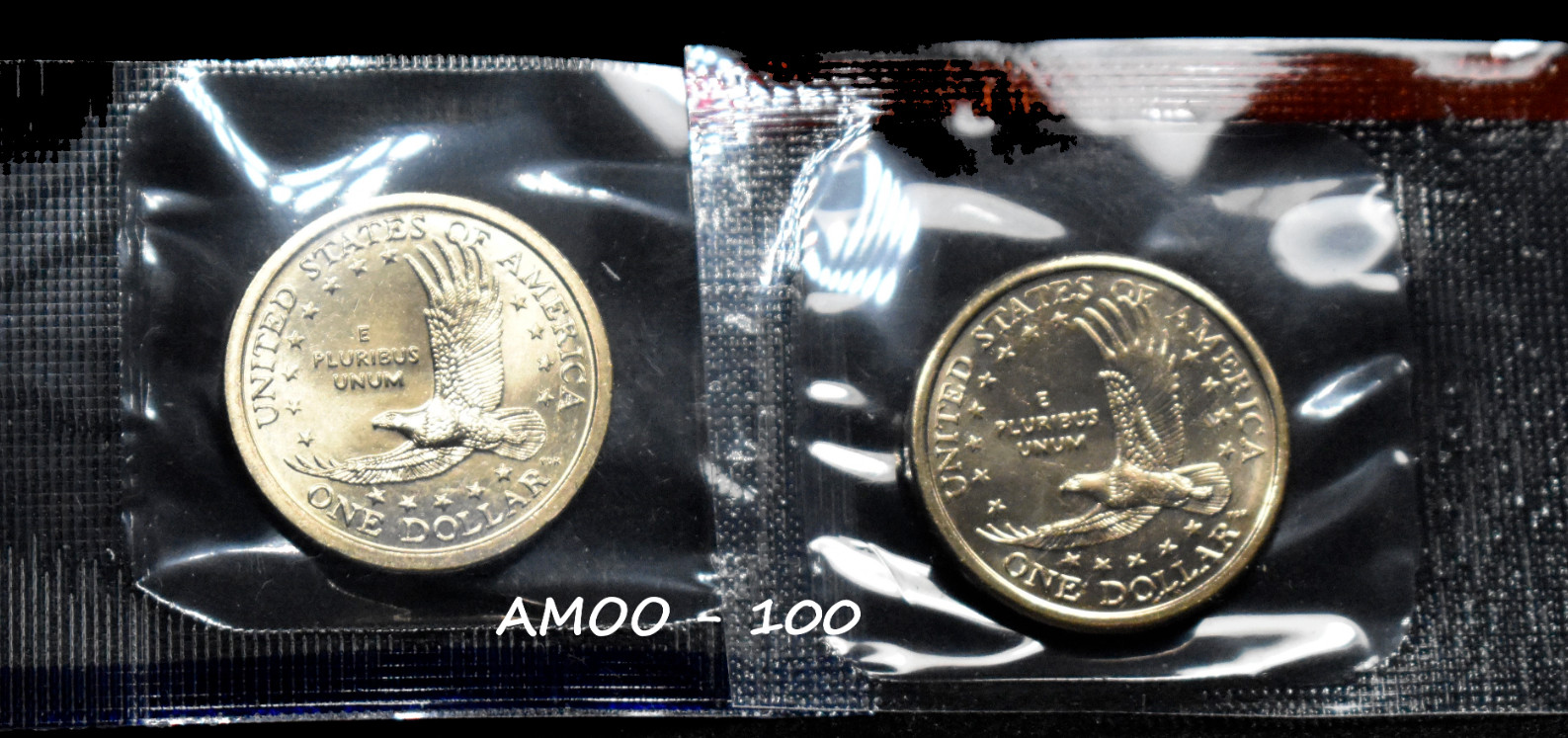 2000 P & D Sacagawea Native American Dollar 2 Coin Set