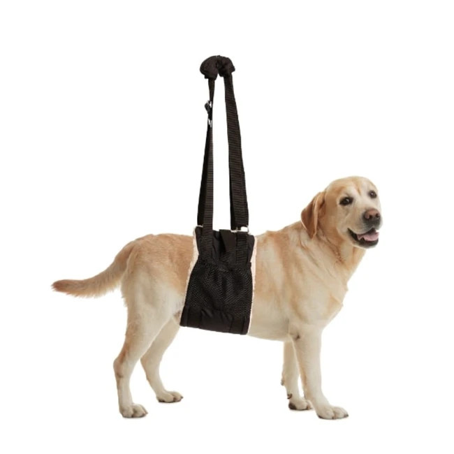 Cs Tech Buddy Lift Rehab Pet Support Sling L Xl