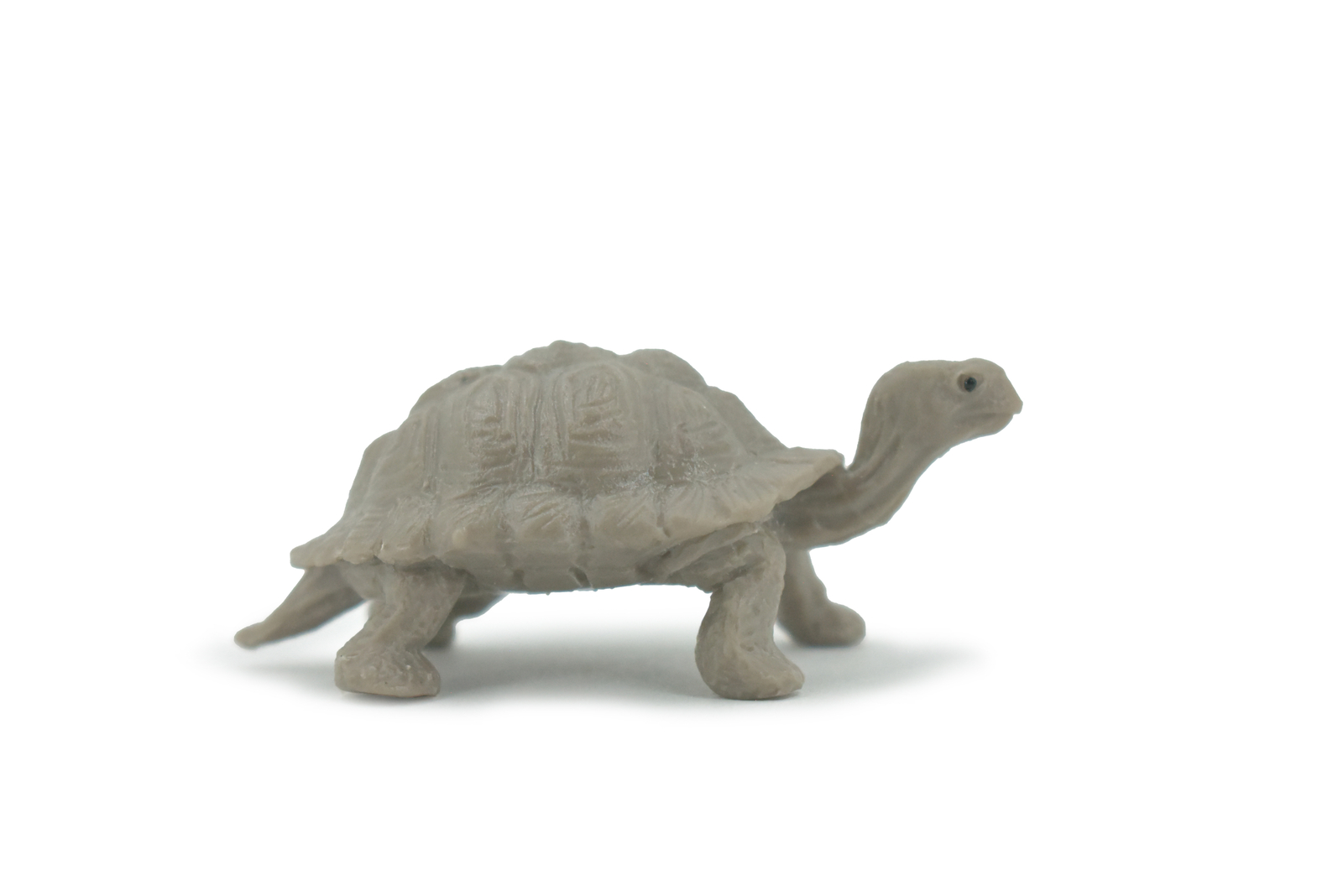 Tortoise, Galapagos Islands Realistic Brown Toy Model Plastic  2.5" F1520 B150
