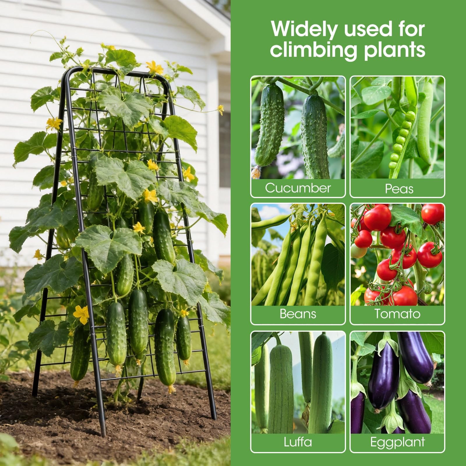 Heavy Duty Cucumber Trellis，50"x17" Adjustable A-Frame Trellis for black