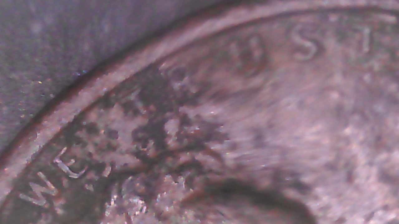 1919 P Liberty Lincoln Wheat Cent