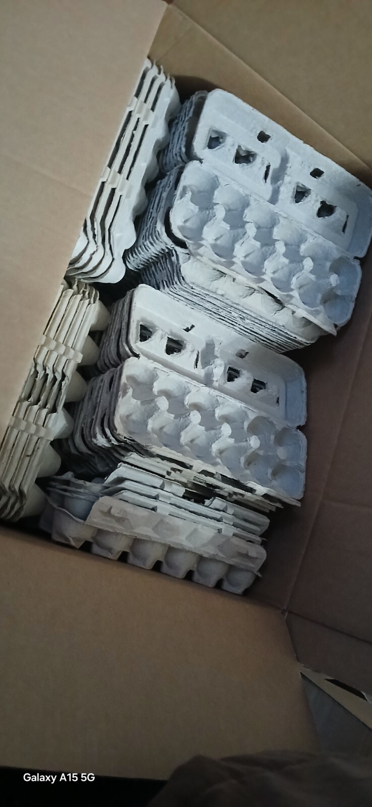 Large Box Lot Clean Once Used Paper Egg Cartons Dozen 80 Count