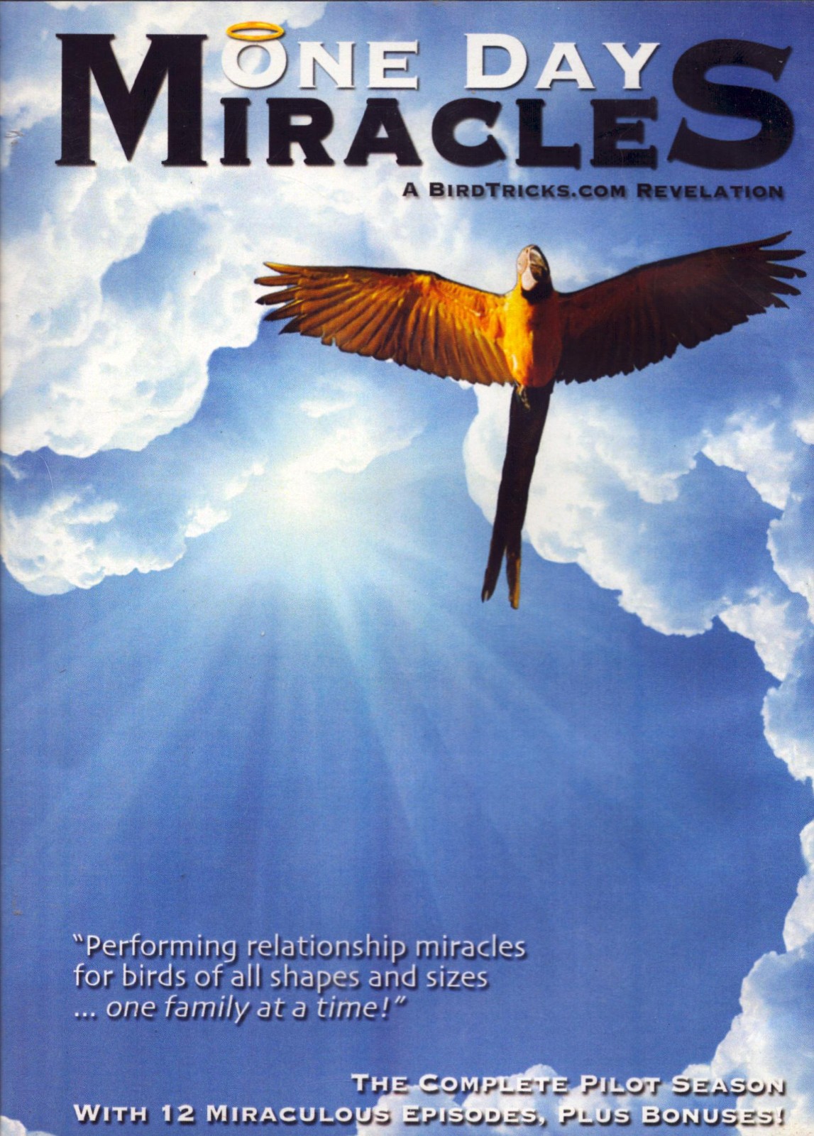 Parrot / Bird DVD One Day Miracles  7 Disc Set Training & Tricks  Damaged Case