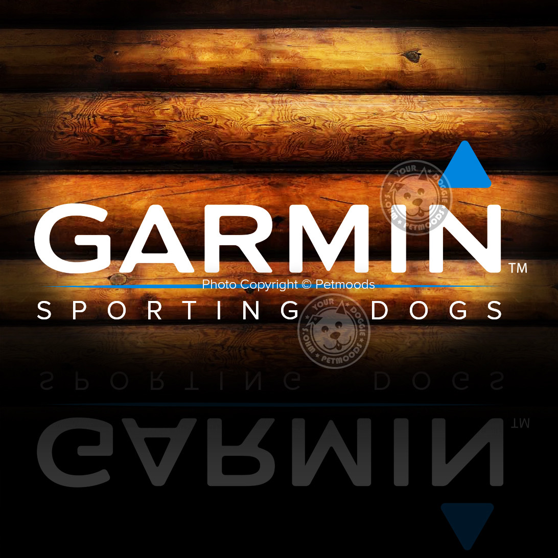 Garmin Hard Carrying Case Black GPS Astro 320 Astro 430 DC-50 Field & Traveling