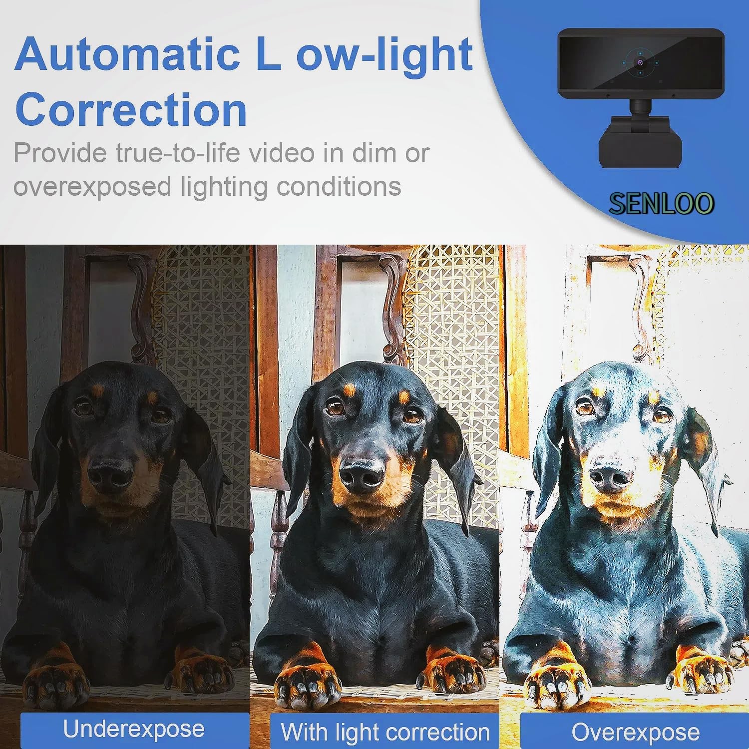 Full HD 1080P Webcam - Webcam for Pc - Auto Focus Webcams - Wide Angle Camera...