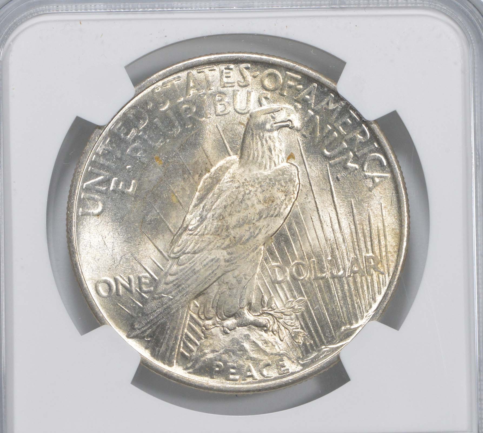 1925 MS63 Peace Silver Dollar 100th Anni 2021 Special Label NGC Graded
