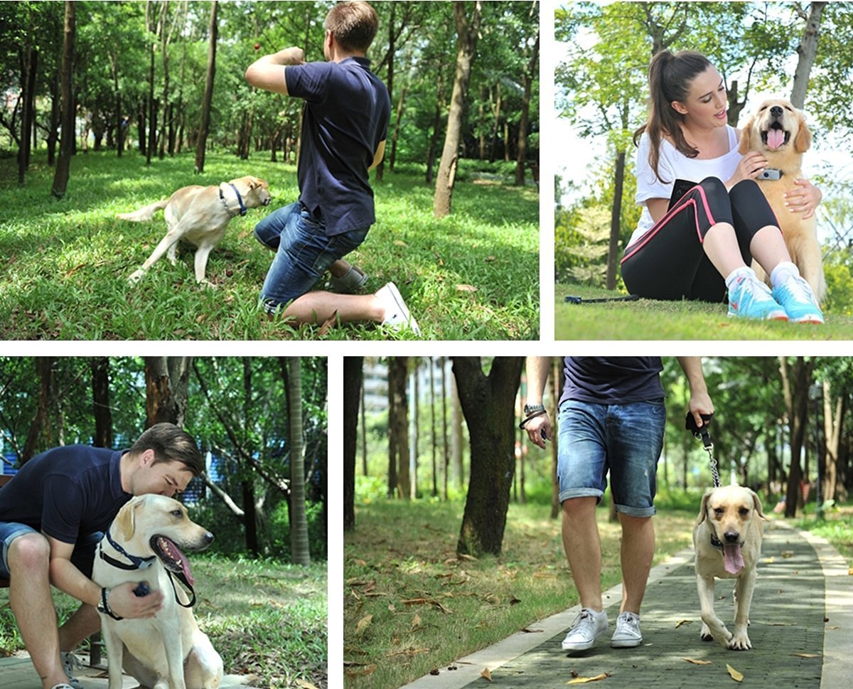 DDOG 550 yards Ergonomic Remote Dog Training Collar