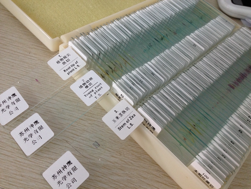 100pc Professional Glass Slice Prepared Microscope Slides Educational Specimen