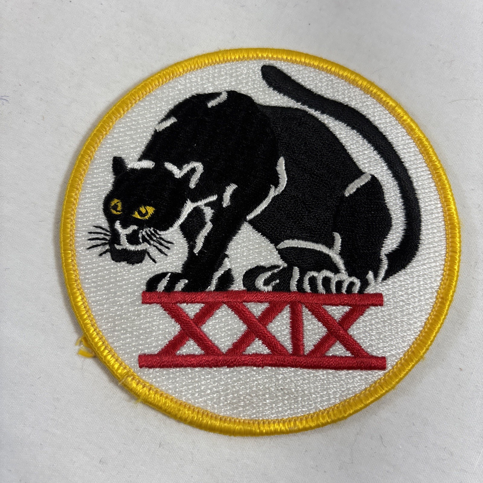 USAF Air Force Academy 29th Squadron Black Panthers Patch