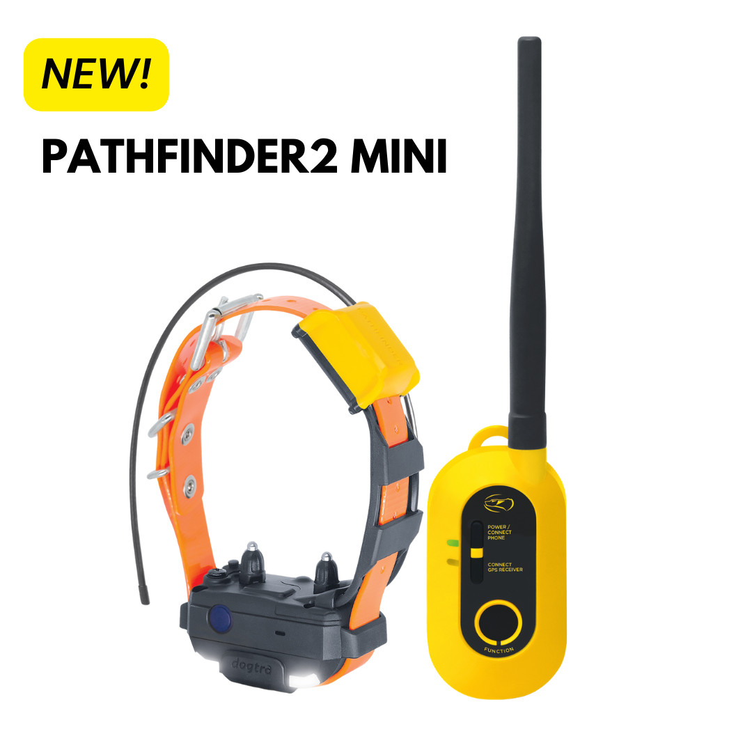 Dogtra PATHFINDER2 MINI GPS Tracking  + Training E-Collar SmartPhone Control
