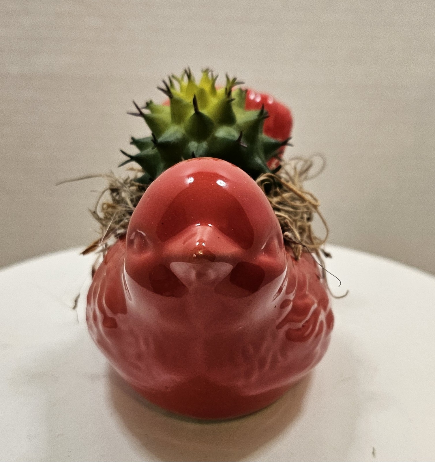 Red ceramic bird Planter with artificial succulent (Handmade Arrangement)