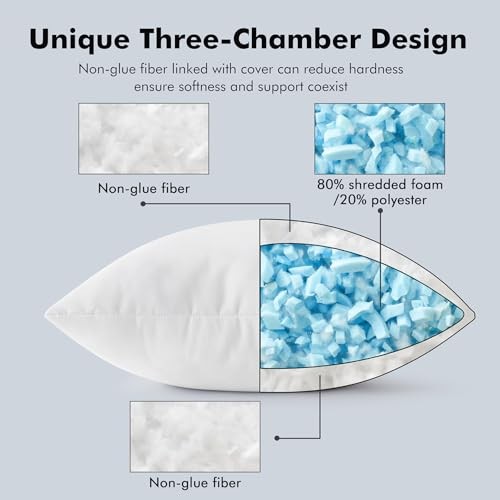 Shredded Memory Foam Pillow Inserts, Set of 2 20x20 20x20 Inch (Pack of 2)