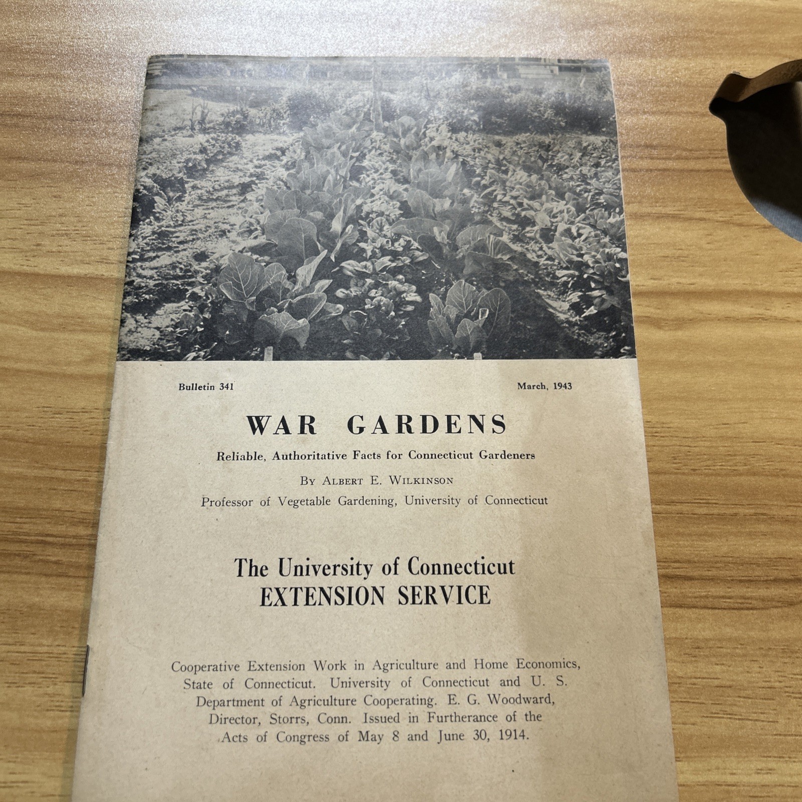 1943 War Gardens WWII University Of Connecticut Uconn  Department Of Agriculture