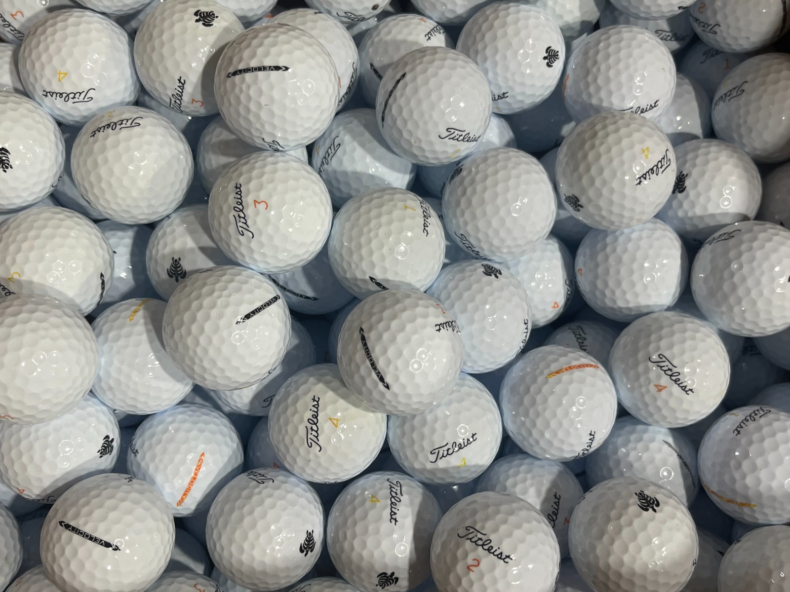 Titleist Velocity AAAAA Mint 100 Used Golf Balls 5A