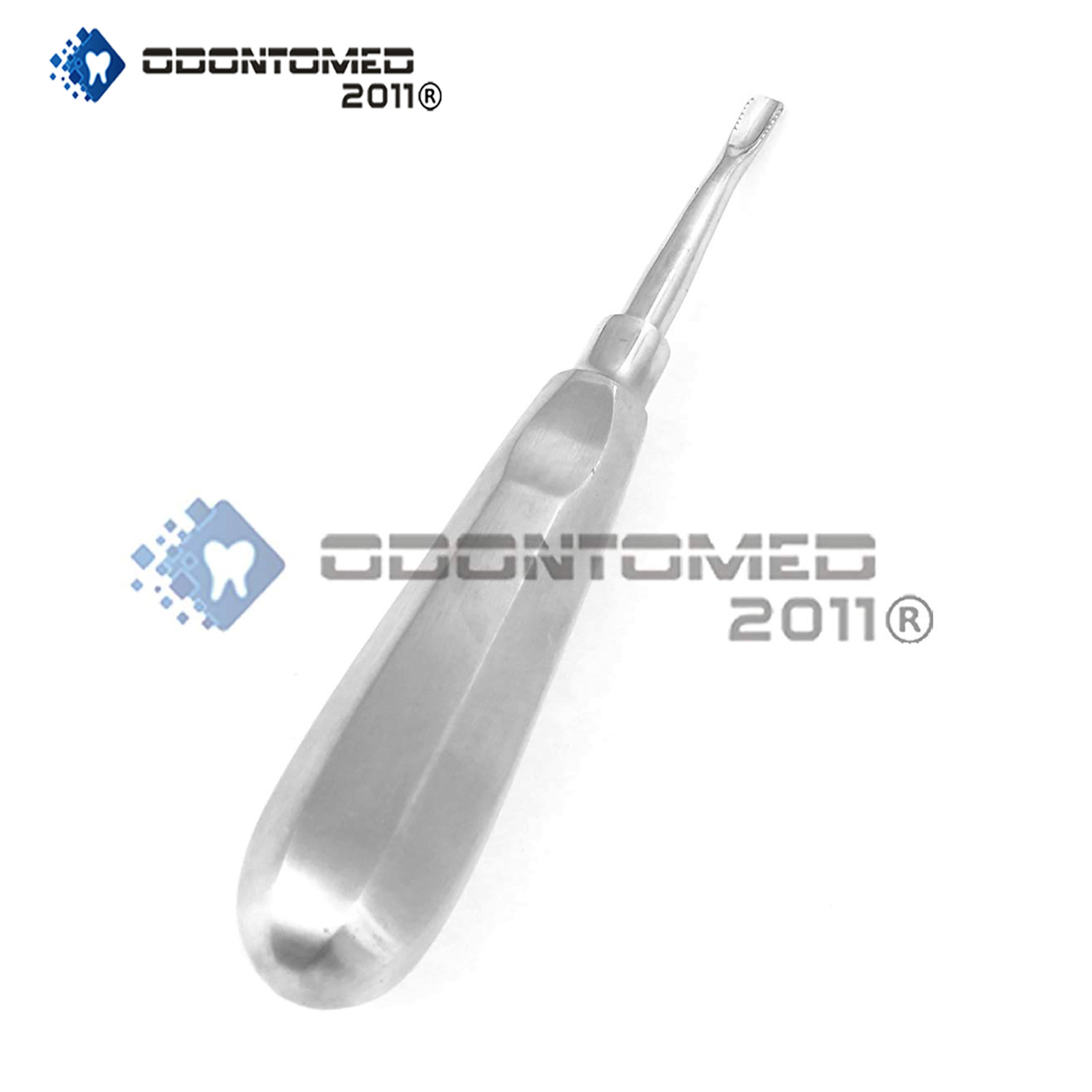 Dental Root Elevator 77r Dental Instruments