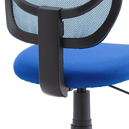 Amazon Basics Low-Back Computer Task Office Desk Chair with Swivel Casters - Blu