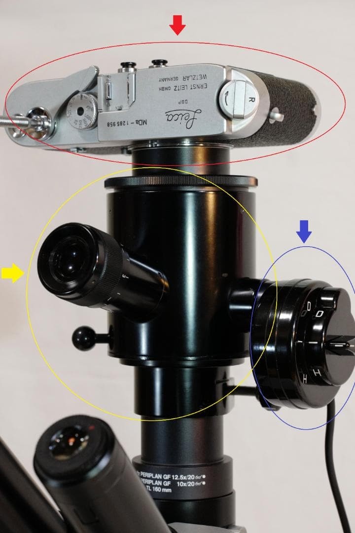 microscope antique collectible Leitz's "Elber" Stereo Polarizing Microscope