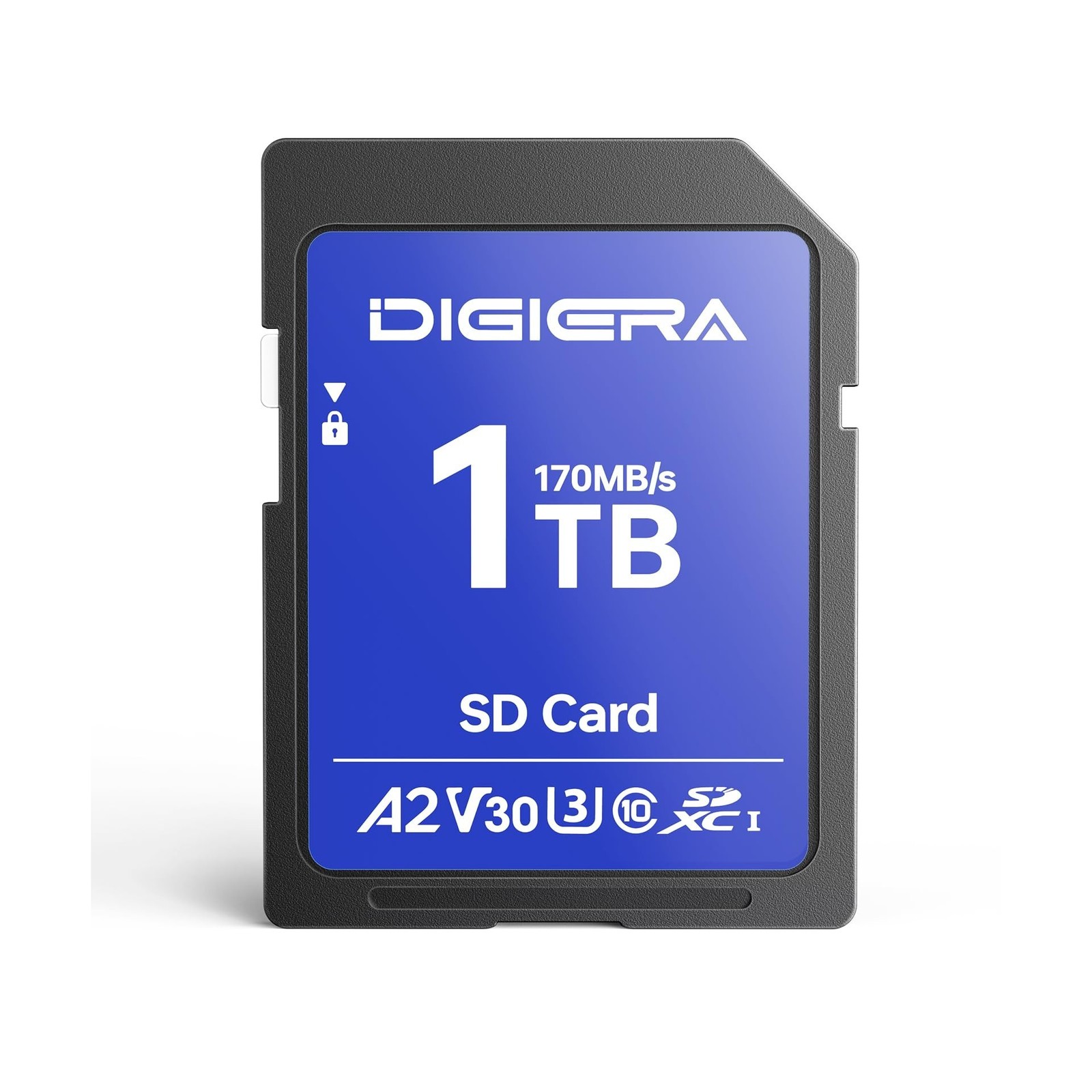 1T LS100 SDXC UHS-I Memory Card - up to 170MB/s, C10, U3, V30, 4K UHD, SD Car...