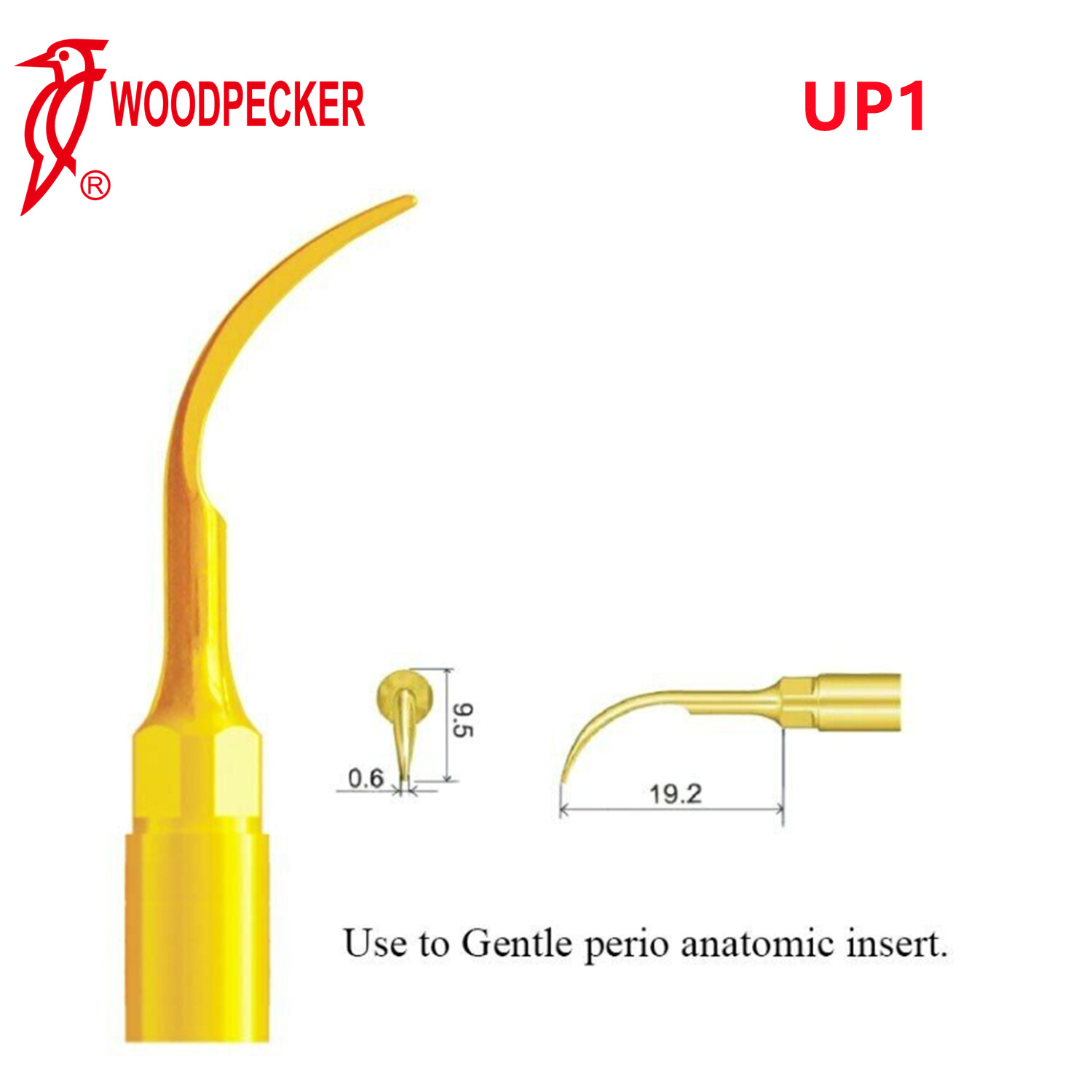 Woodpecker UP1 Piezo Bone Surgery Tips Periodontal Surgery Fit US-II LED Surgery
