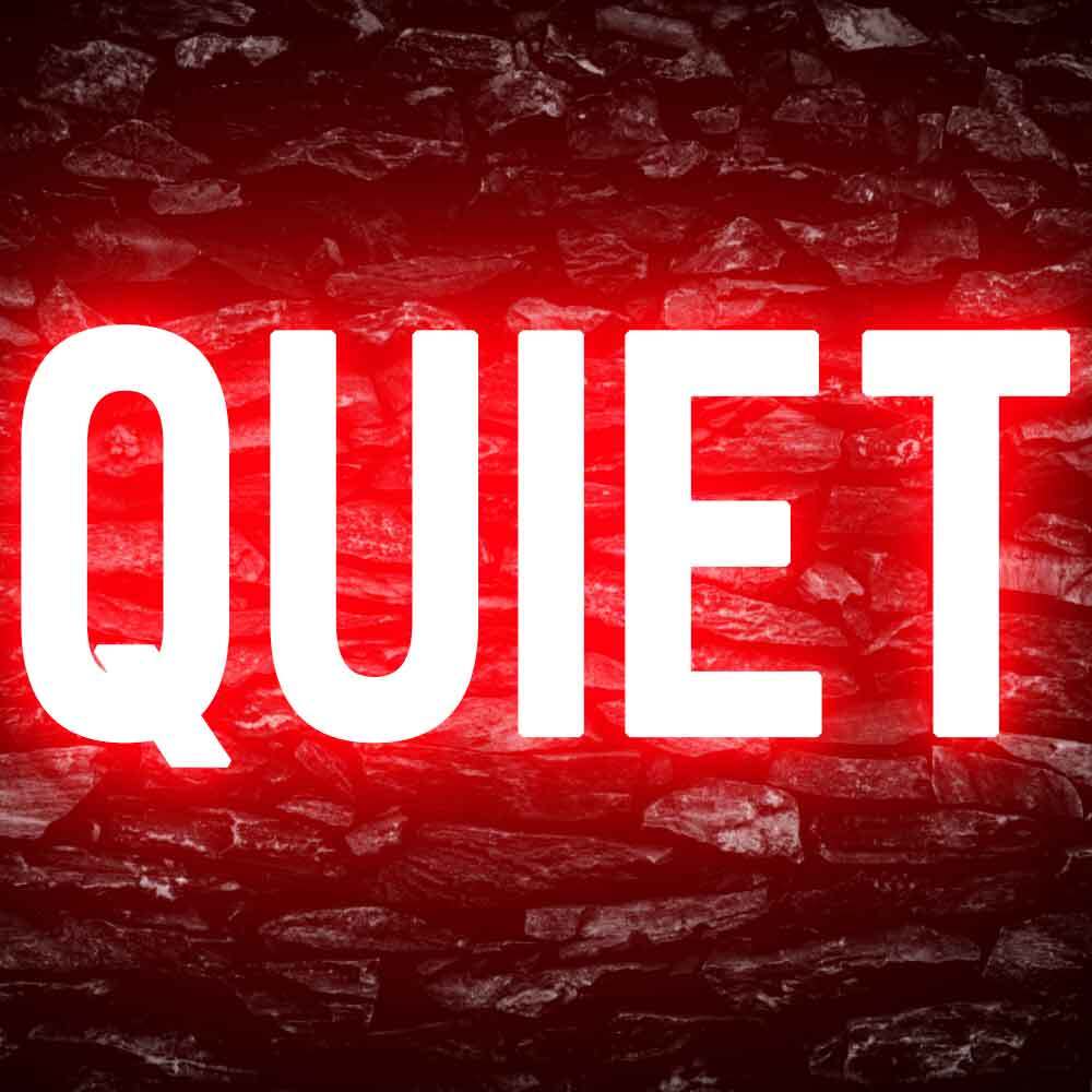 Quiet Please Office Decor Display Flexible Custom Neon Sign