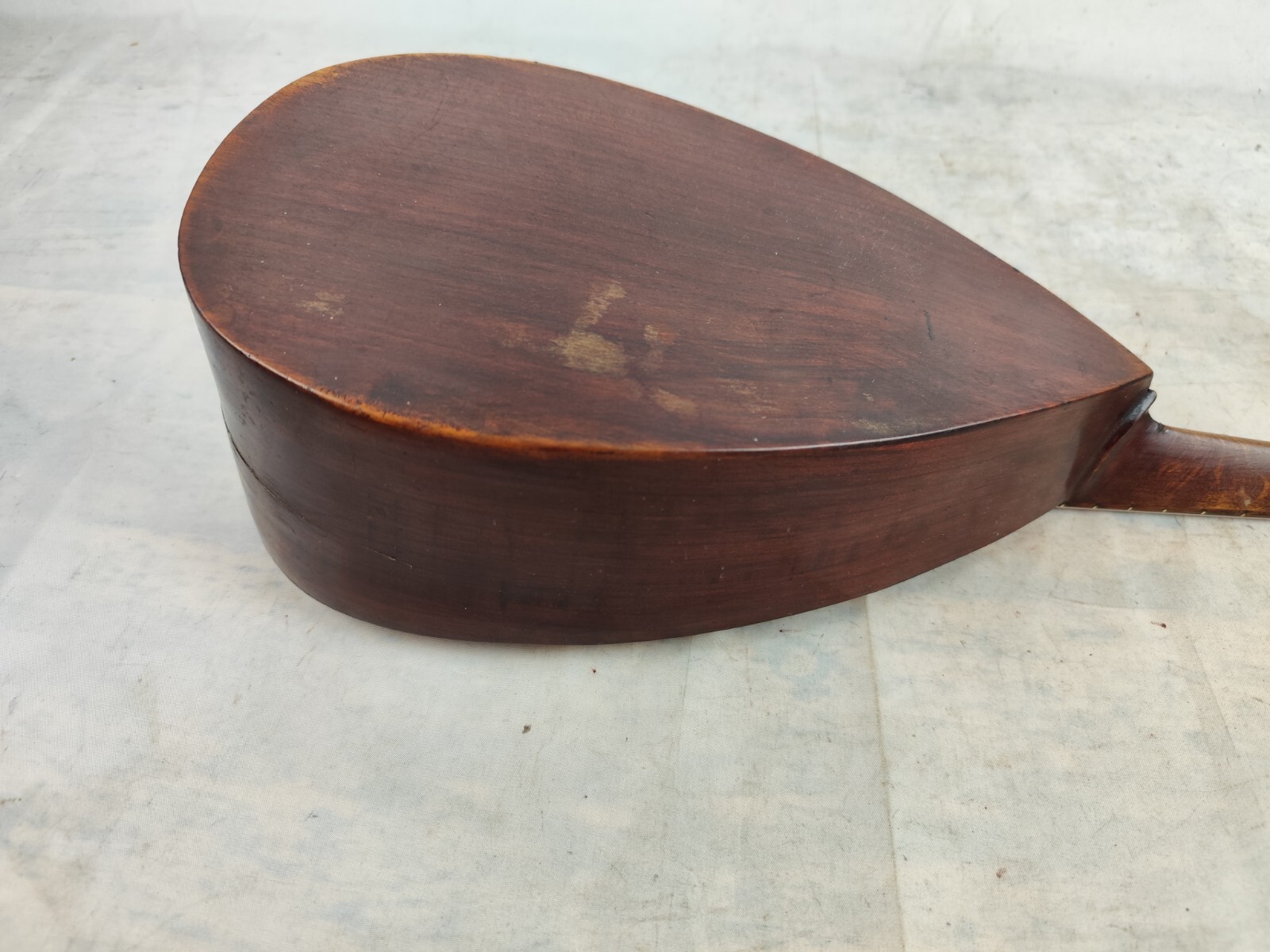 Mandolin 4/4 Fratelli Masetti 1900 Modena 曼陀林 만돌린マンドリン