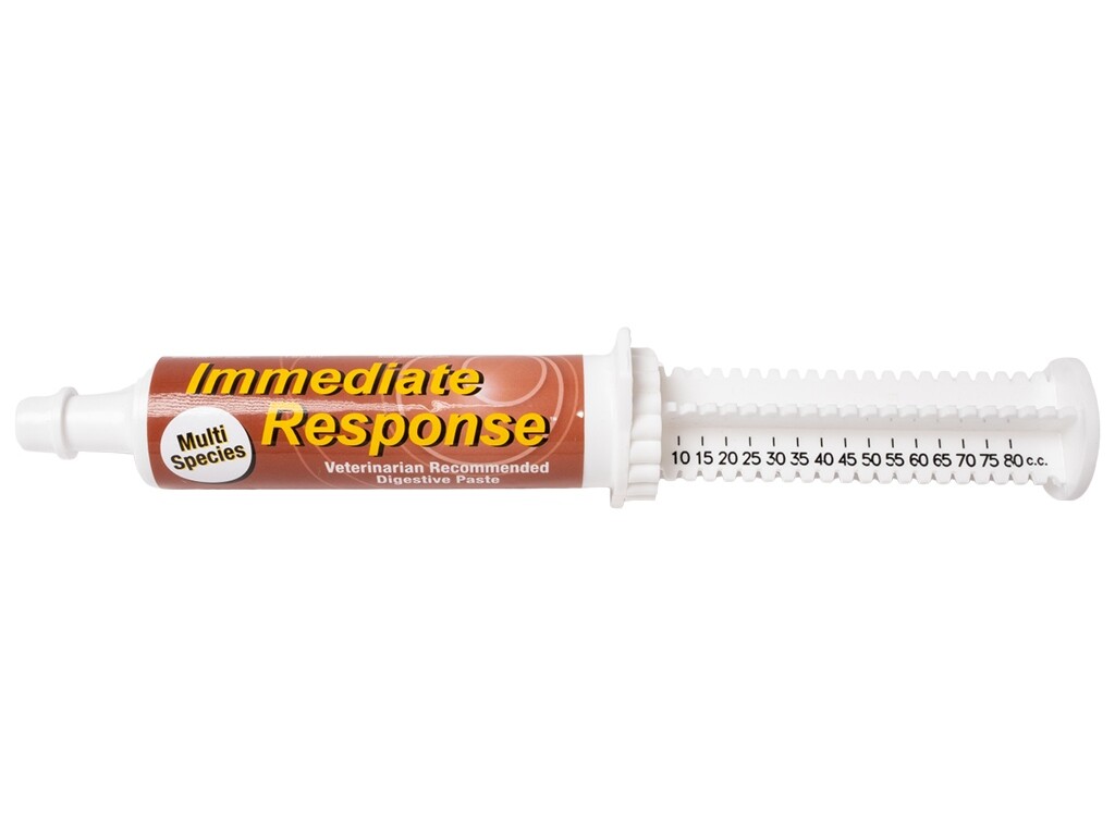 Immediate Response Digestive Paste