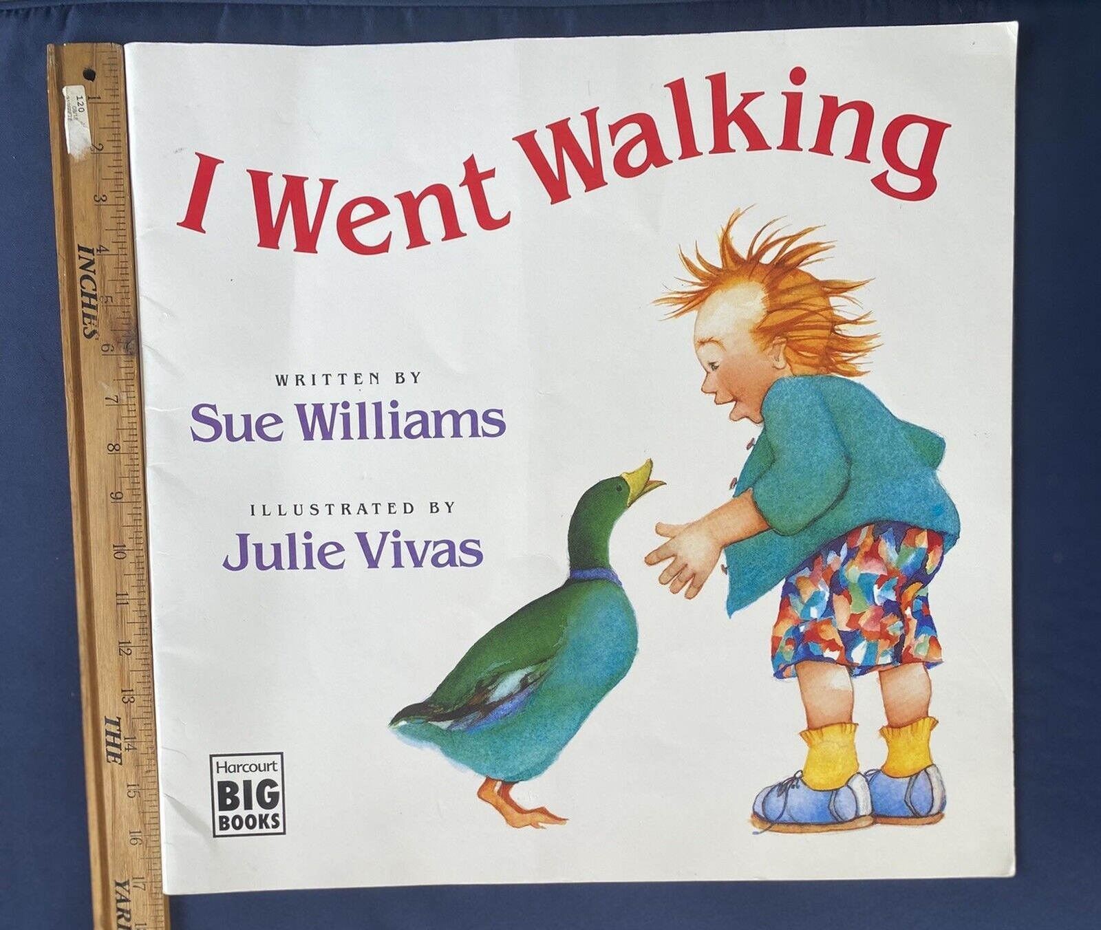 Teacher I WENT WALKING Big Book Read Aloud Picture Preschool Kindergarten