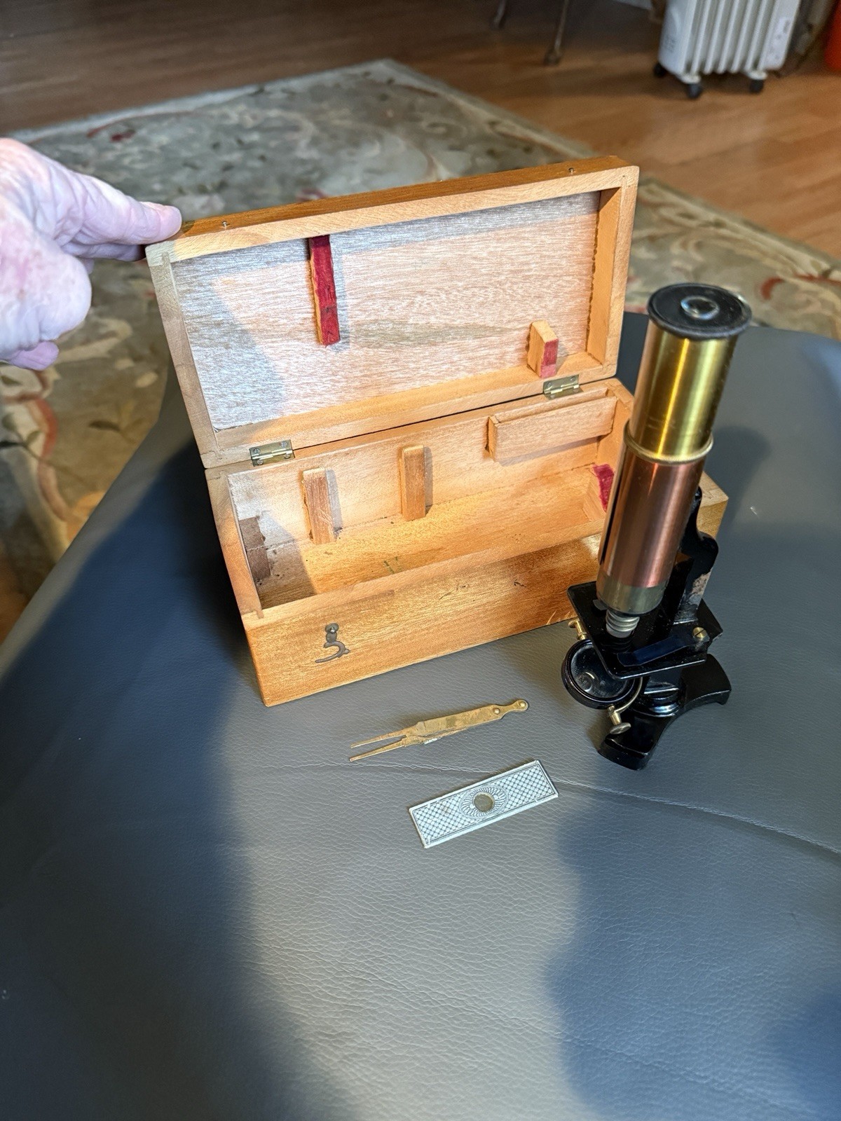 Antique French Brass W/ Cast Iron Base Medical & Scientific Study Microscope