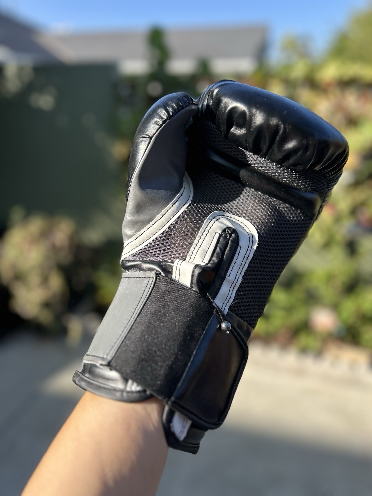 Everlast Training Boxing Gloves Pro Style Elite Evershield 16 Ounces Black Gray