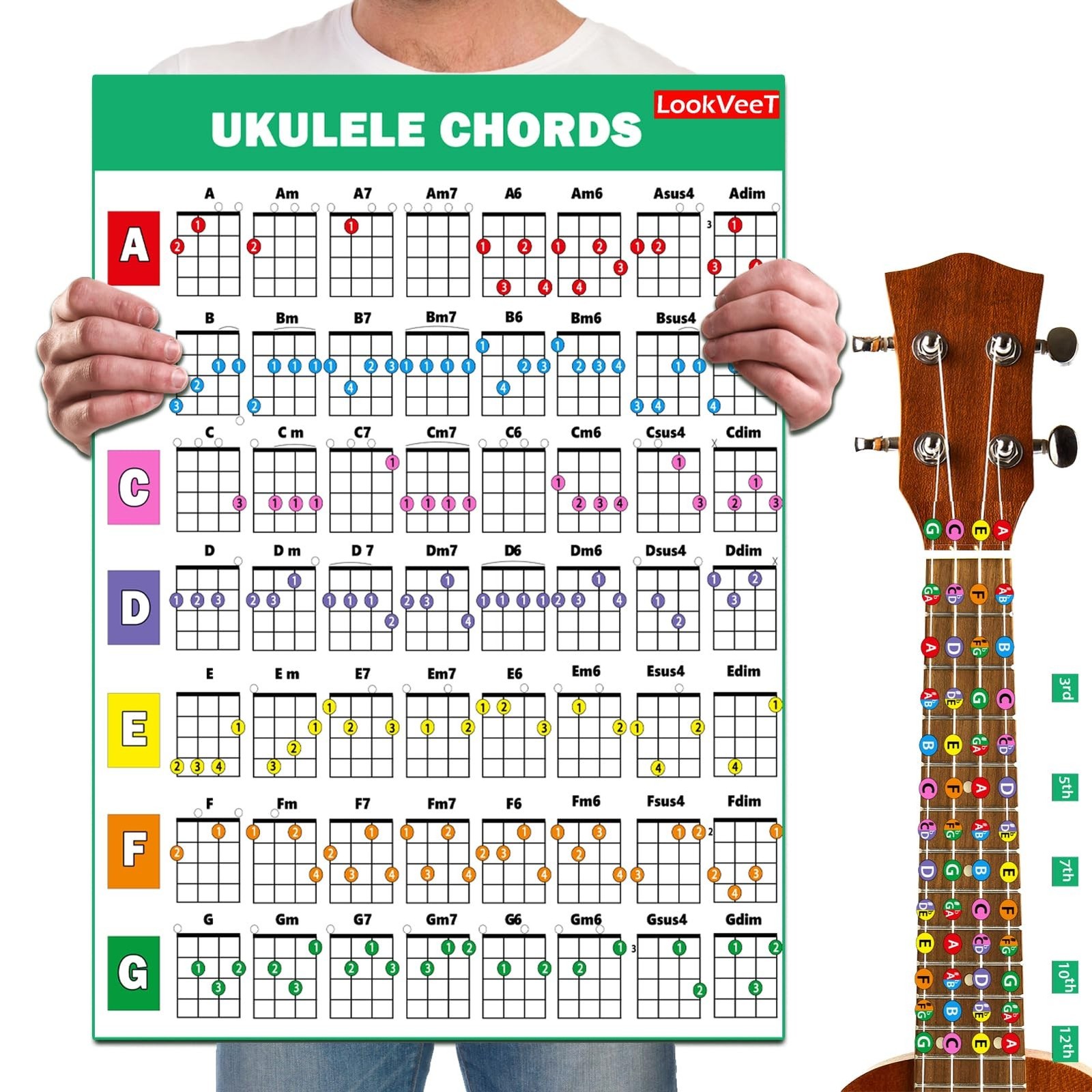 LookVeeT Ukulele Chord Chart Poster For Beginner And Portable A4 Laminated Ch...