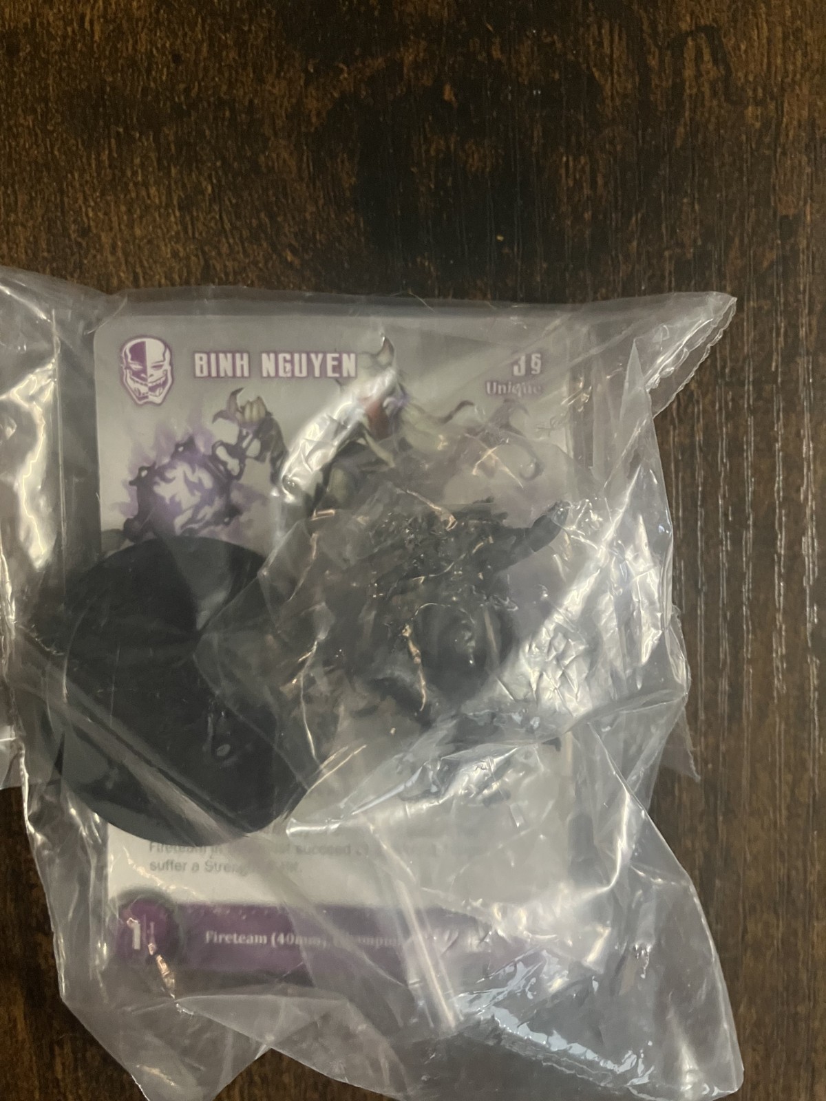 Wyrd: Court of Two Envoy: Binh Nguyen (Kickstarter Exclusive) NIB