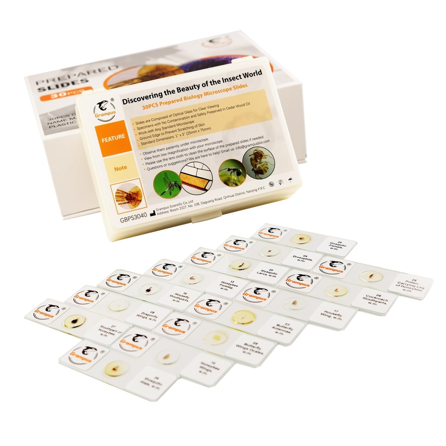 30pcs Optically Cleared Insect Microscope Slides - Safe for Kids and School Labs
