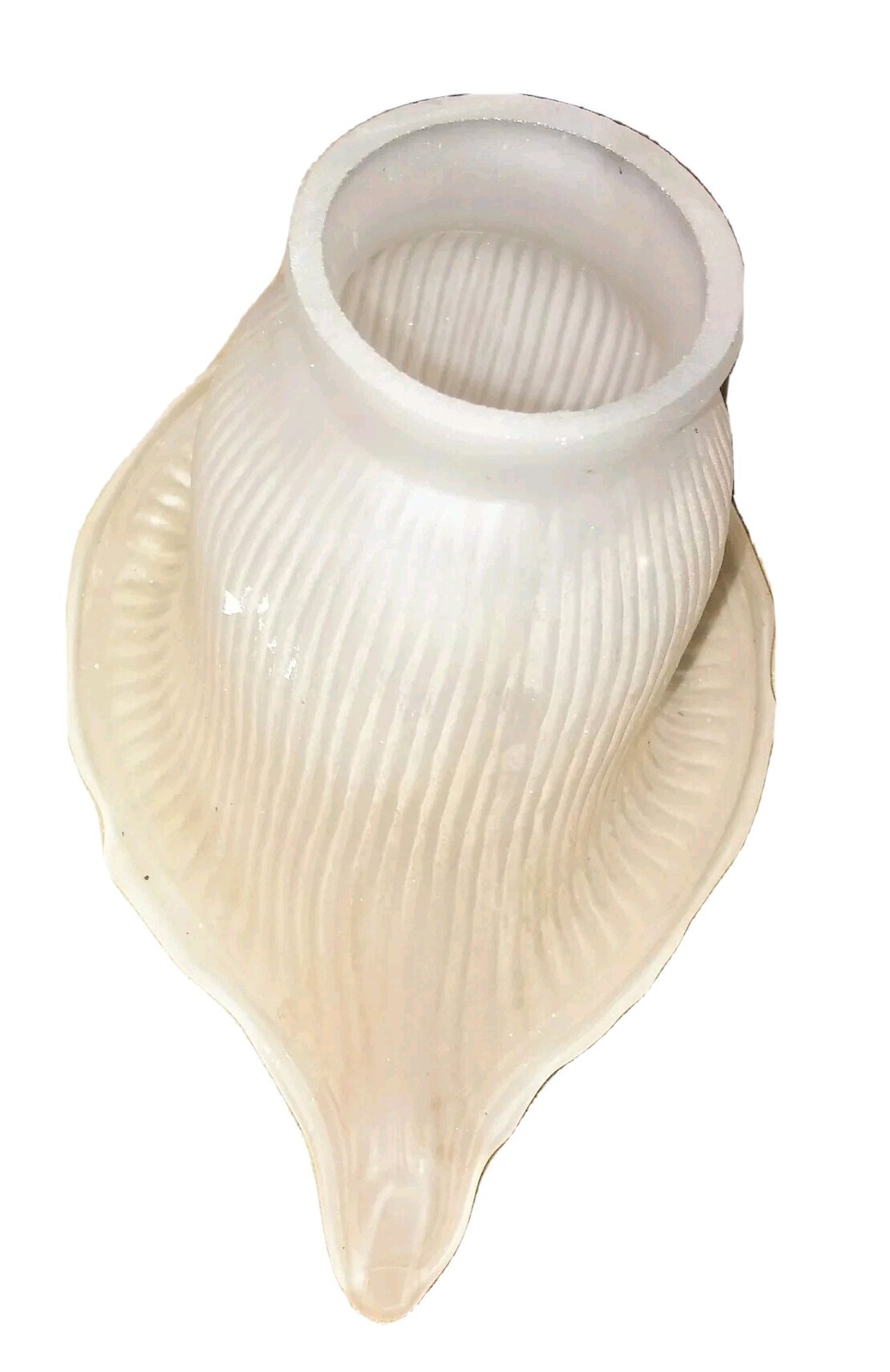 Calla Lilies Ribbed Glass Light Shade Globe Lamp Fixture Frosted Flowers
