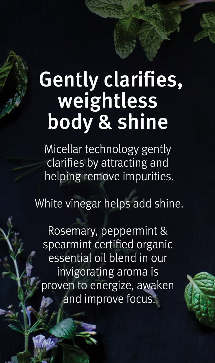 Aveda Rosemary Mint 2 Pack! Shampoo and Conditioner Set - 12.2 oz
