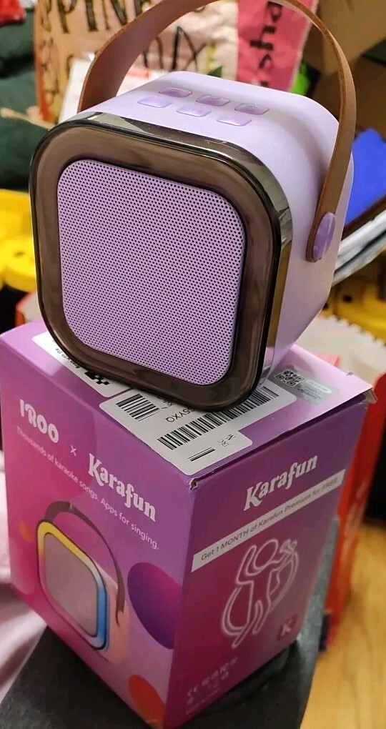 Karaoke Machine for Kids – Mini Karaoke Machine with 2 Wireless Microphones, Por