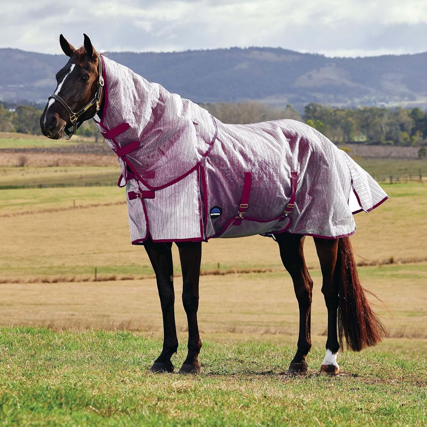 Weatherbeeta ComFiTec Ripshield Plus Detach A Neck Fly Sheet