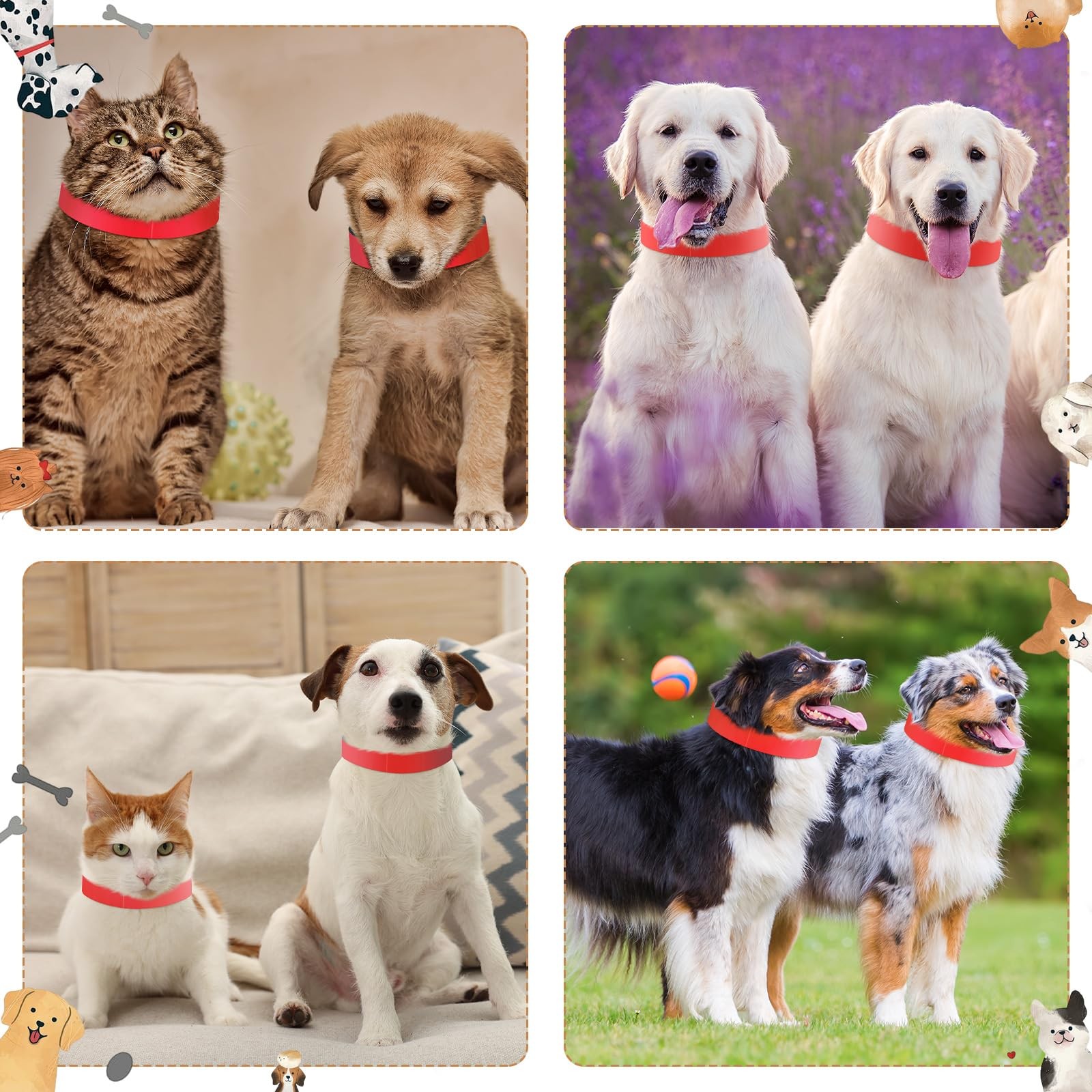 500 Count 20inch Adjustable Paper Dog Collars with Tear Resistant Waterproof ...
