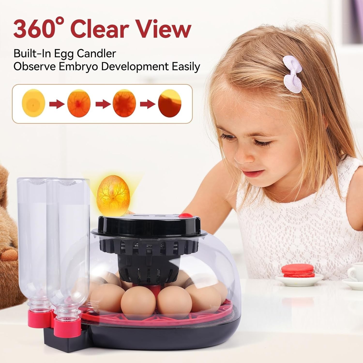 12 Egg Incubators for Hatching Eggs, Chicken Egg Incubator with Automatic Egg...