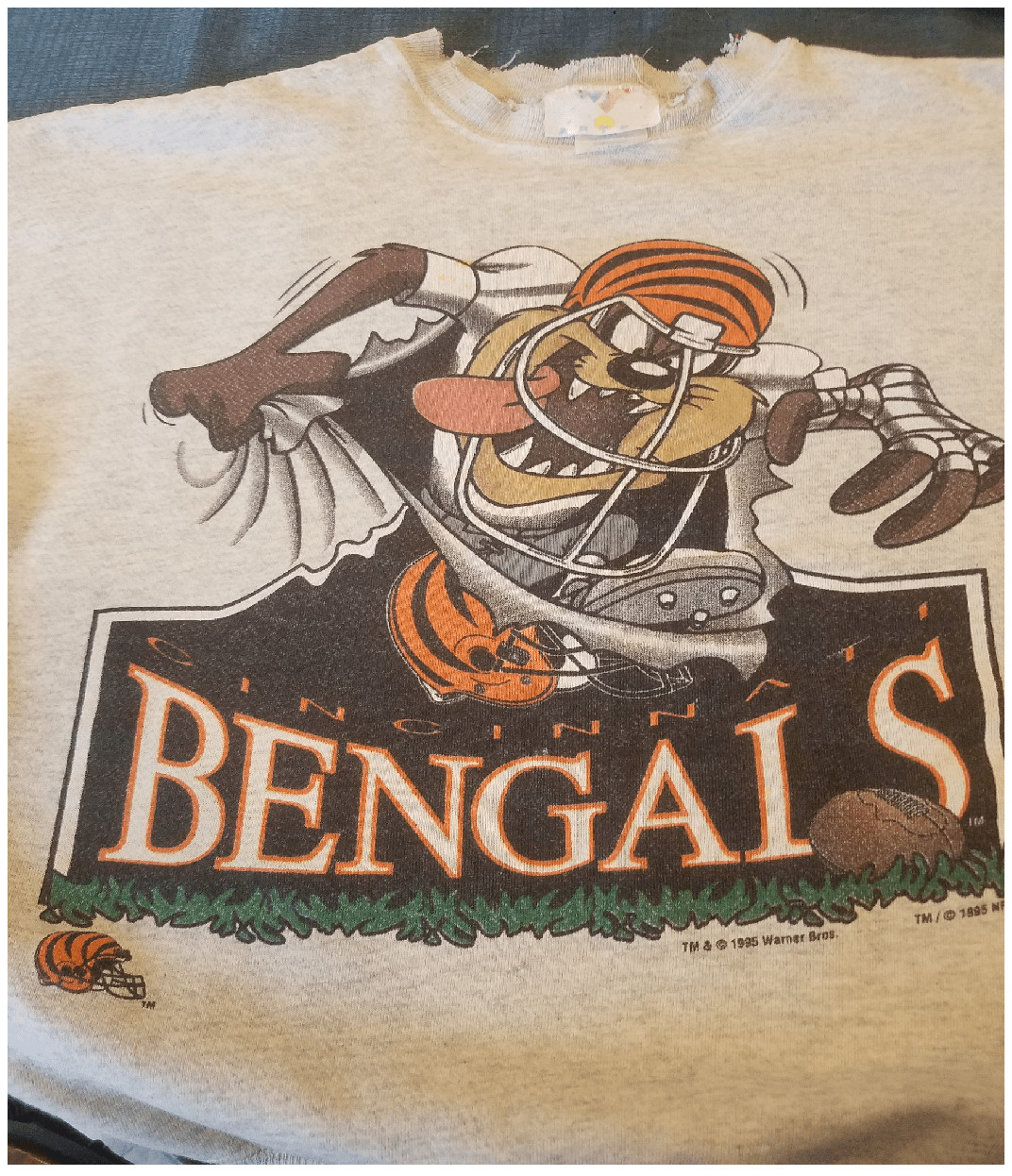 Cincinnati Bengals NFL Rare design Looney Tunes Taz Funny T shirt HN3884