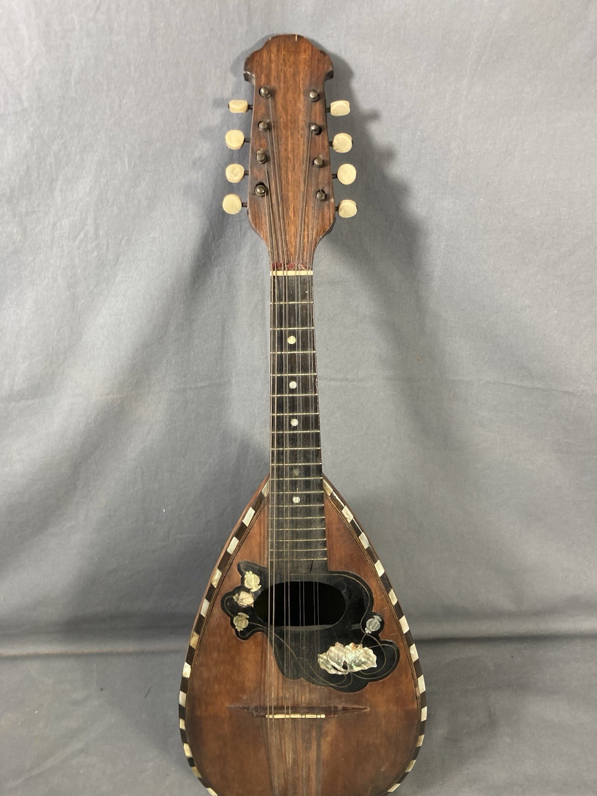 ITALIAN MANDOLIN Catania First Half 900 Beautiful Decorations