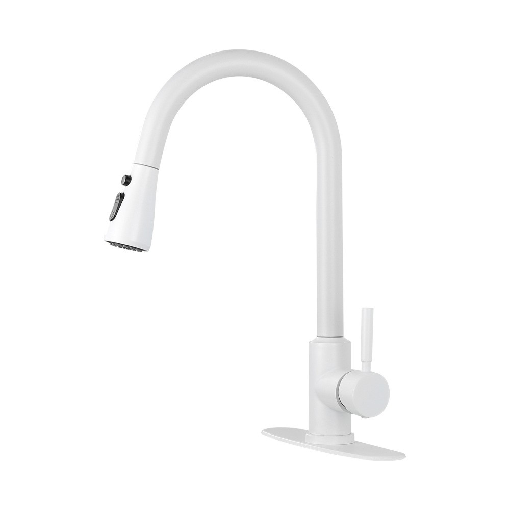 Kitchen Faucet with Pull Out Sprayer Single Handle High Arc Stainless Steel