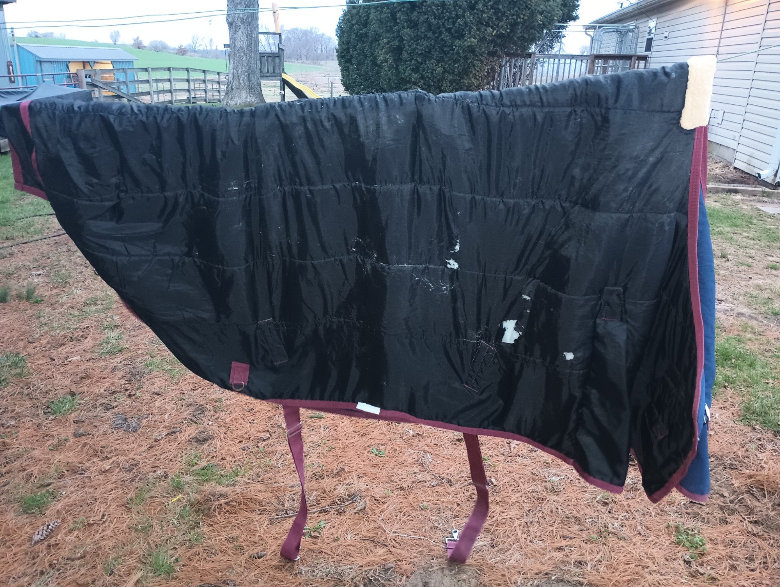 Ozark Leather Blue/Red Winter Horse Blanket 80"